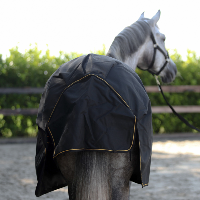 Bucas Irish 50g Turnout - Black/Gold-4